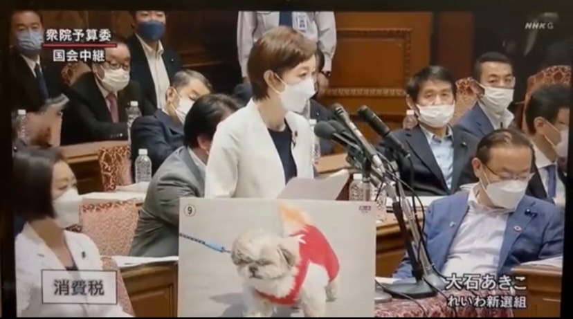 日本在野黨令和新選組眾議員大石晃子昨（1）日在國會痛批岸田文雄是「資本家的狗」。 圖：擷取自@MMT20191推特