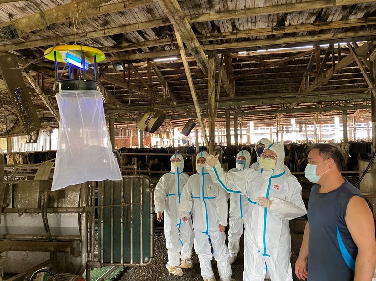 團隊聯合輔導畜牧場吊掛捕蠅燈及蟲媒監測工作。 圖：新北市動保處提供