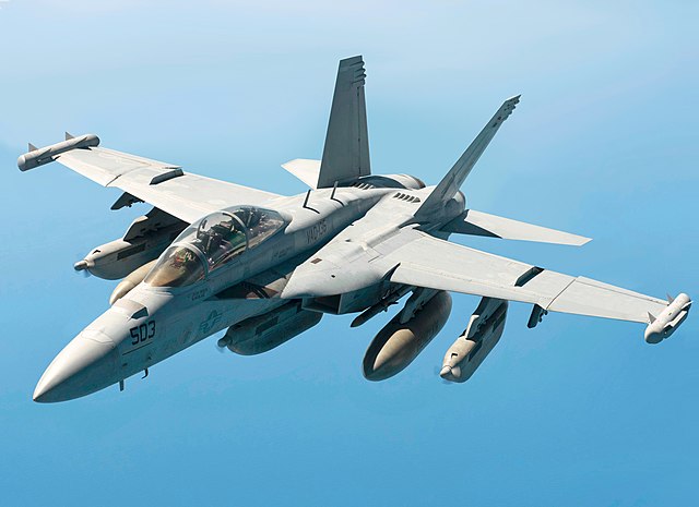 美軍戰機 EA-18G 「咆哮者」艦載型電子作戰機 翻攝自Twitter