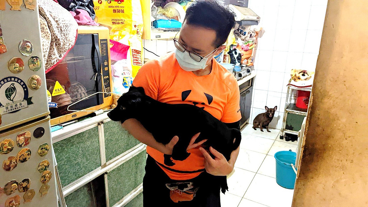 巴克幫訓犬專員親自評估犬隻狀況，挑選適合者進入「巴克預備學校」。 圖：新北市動保處提供