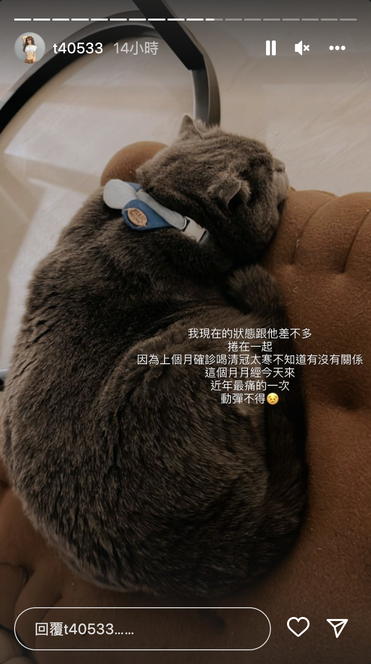 梓梓透露自己生理期「異常疼痛」。 圖：翻攝自梓梓IG(@t40533)