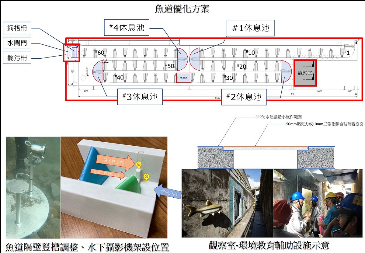 香魚復育觀察廊道優化示意圖。 圖：新北市水利局提供