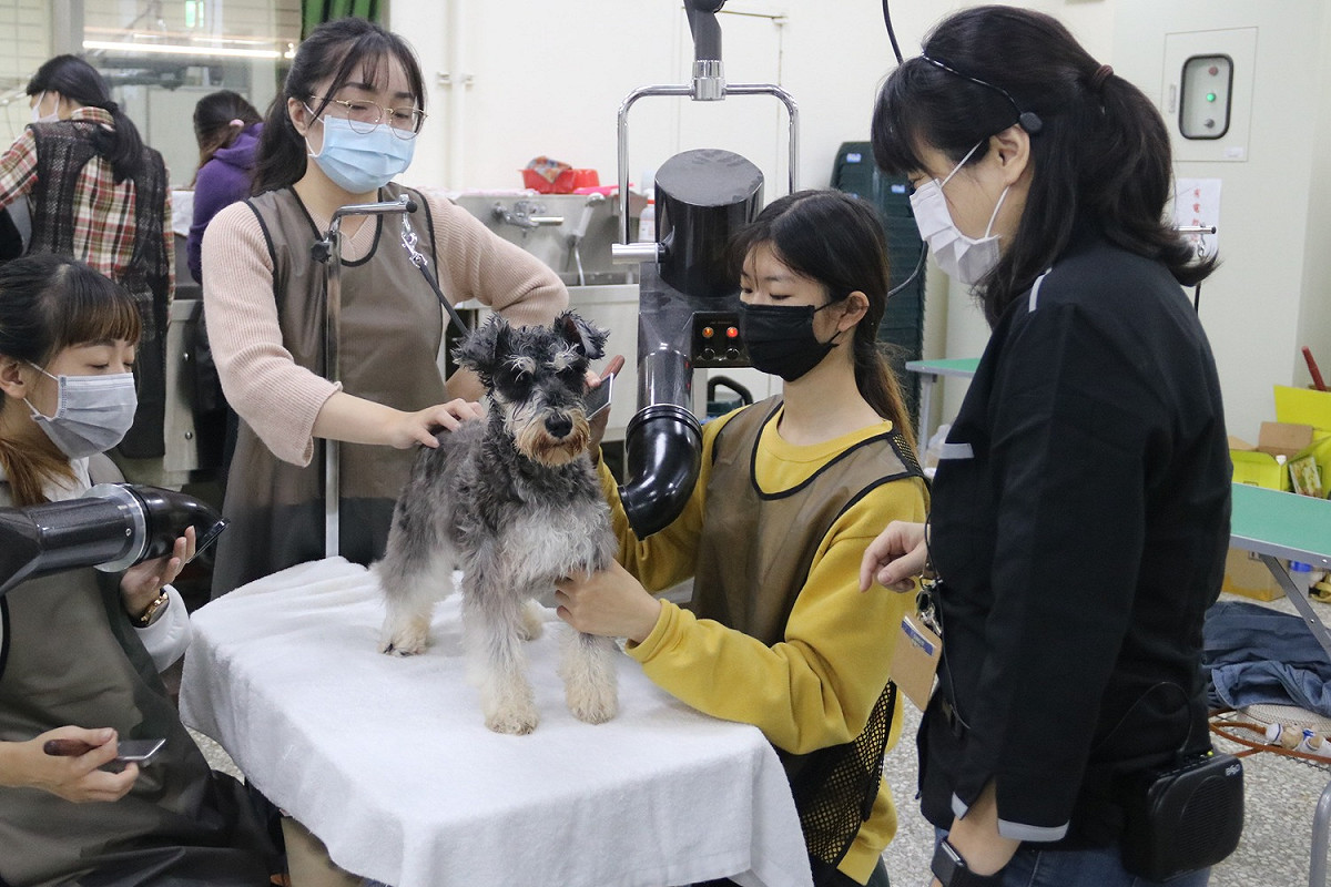 弘光科大老師侯志遠發表調查結果，疫情期間一年以下新飼主增加佔19.6%。 弘光科大/提供