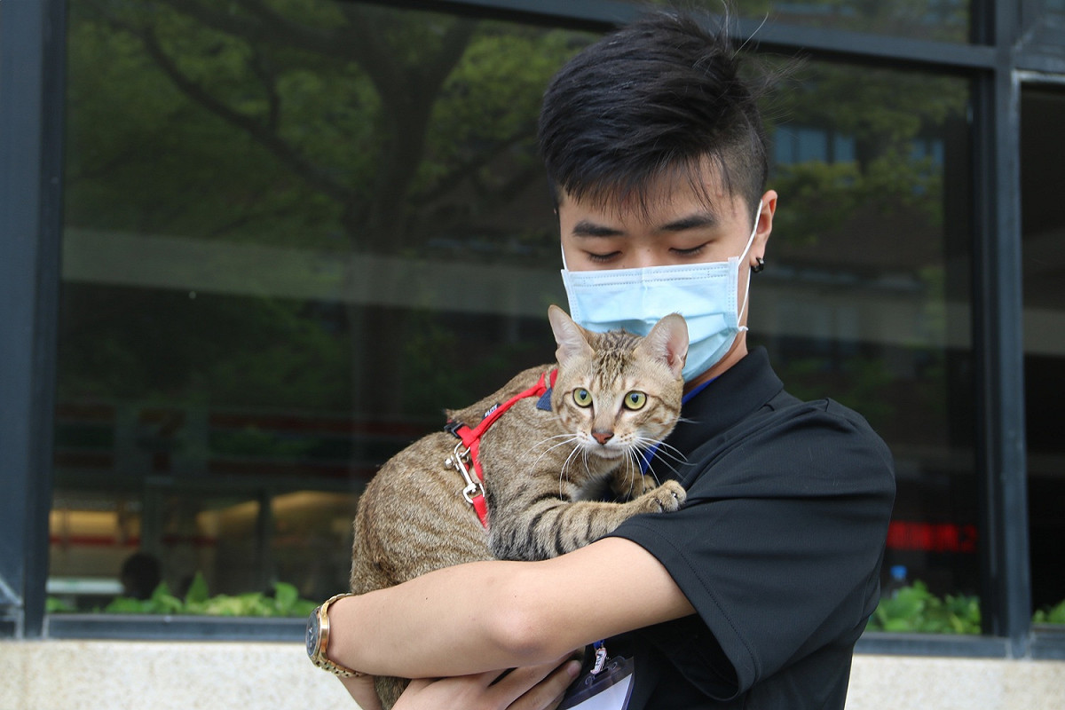 弘光科大老師侯志遠發表調查結果，疫情期間一年以下新飼主增加佔19.6%。 弘光科大/提供