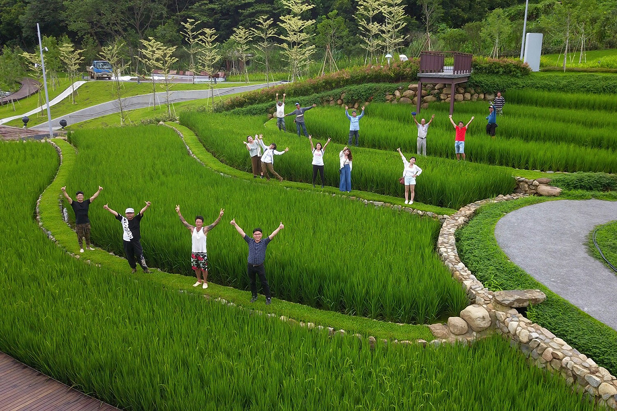 桃園市大有梯田公園獲全球卓越獎環境類金獎。 圖：桃園市政府/提供