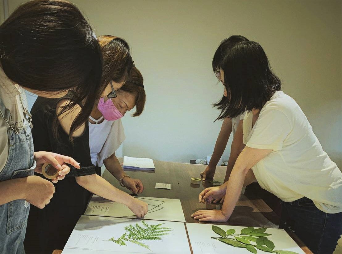 茶博館「茶山學特展」中展出的植物標本都是由館員一手包辦。 圖：新北市文化局提供