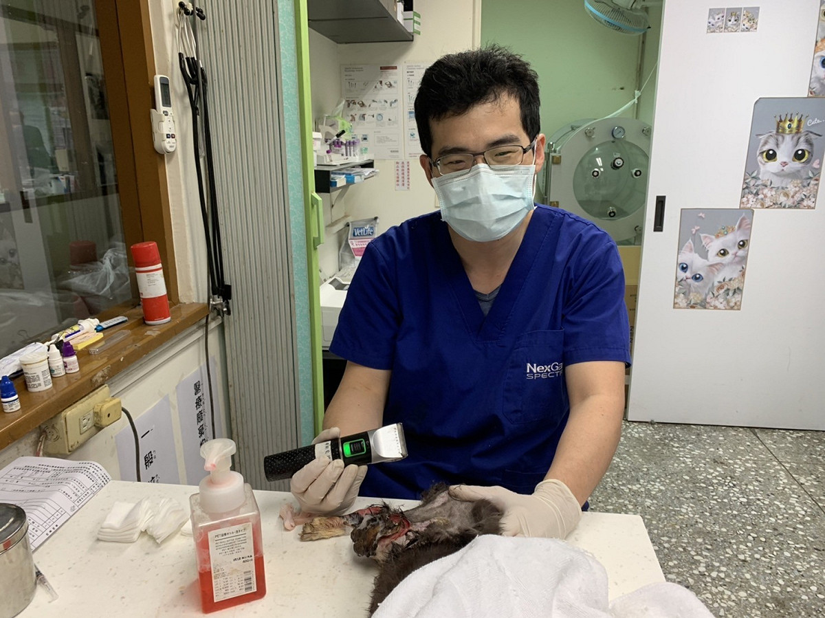 動物用藥品需諮詢過專業獸醫師再使用。 圖：新北市動保處提供