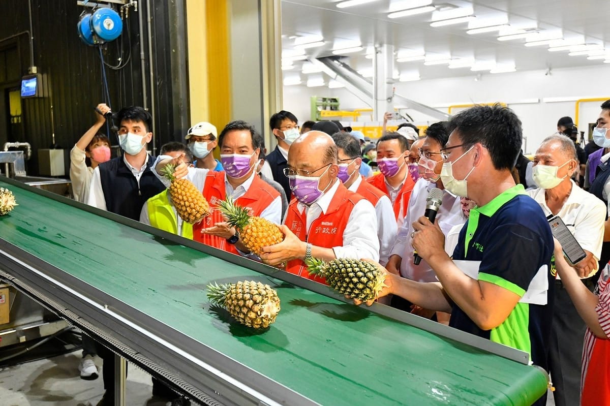 行政院長蘇貞昌今（12）日視察鳳梨冷鏈集貨包裝場。 圖：行政院提供