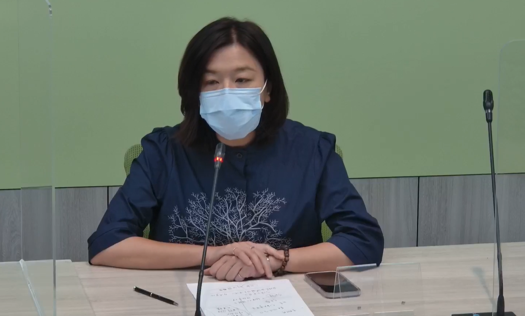 民進黨團副幹事長林靜儀。 圖:民進黨團臉書