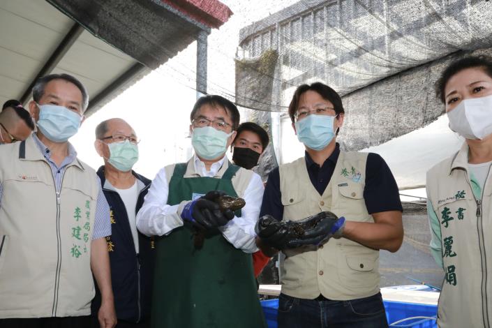 台南市長黃偉哲關心台南石斑養殖現況，前往郭俊瑋位於學甲區的優質石斑魚養殖場，親自拌餌料、餵食，並購買石斑魚。 圖：台南市政府提供