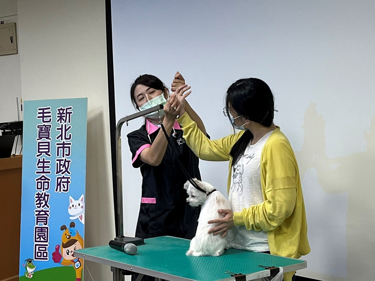 張雅如老師解說如何擠肛門腺。 圖：新北市動保處提供