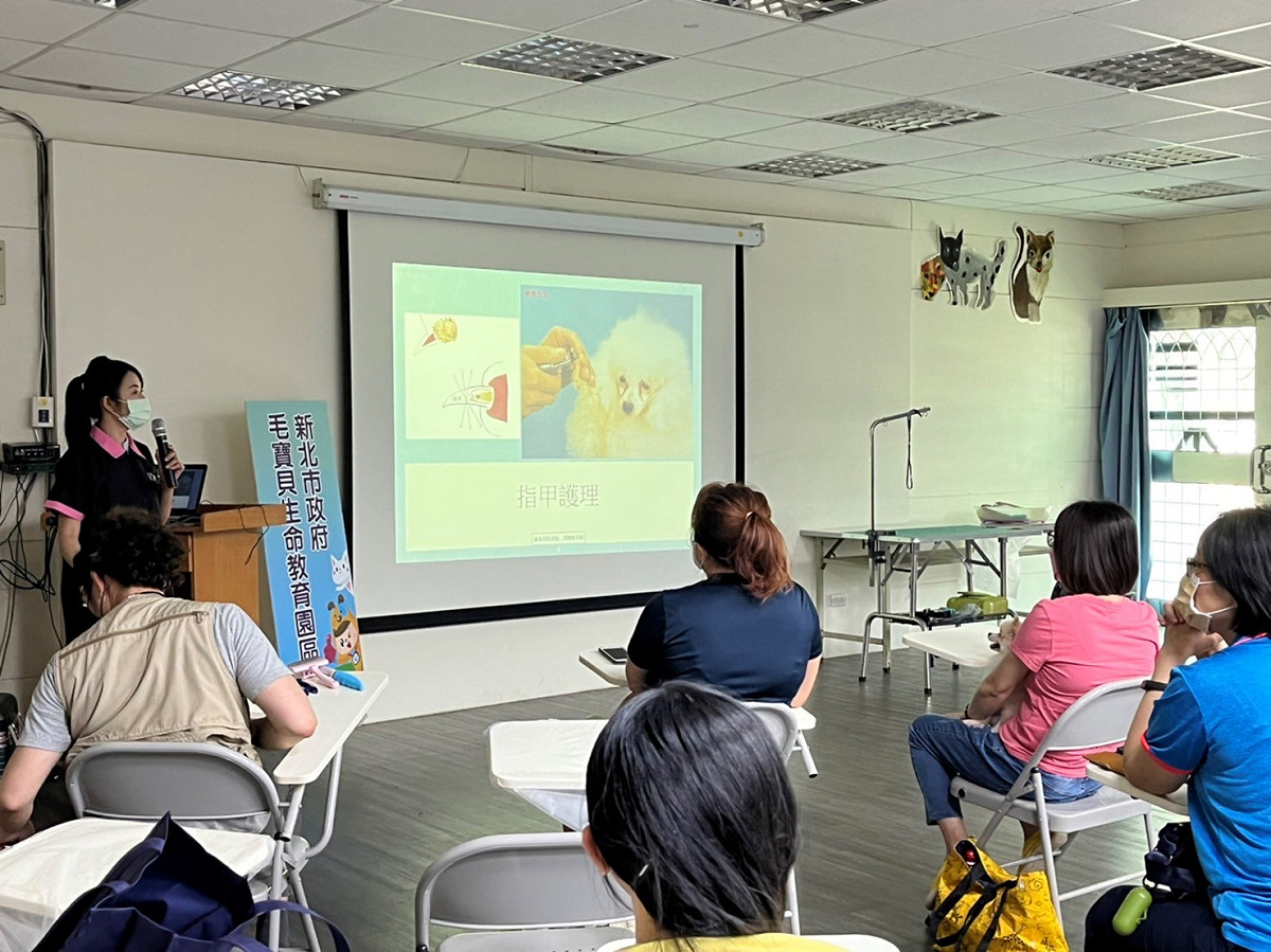 張雅如老師現場ppt教學及示範說明何修剪趾夾。 圖：新北市動保處提供