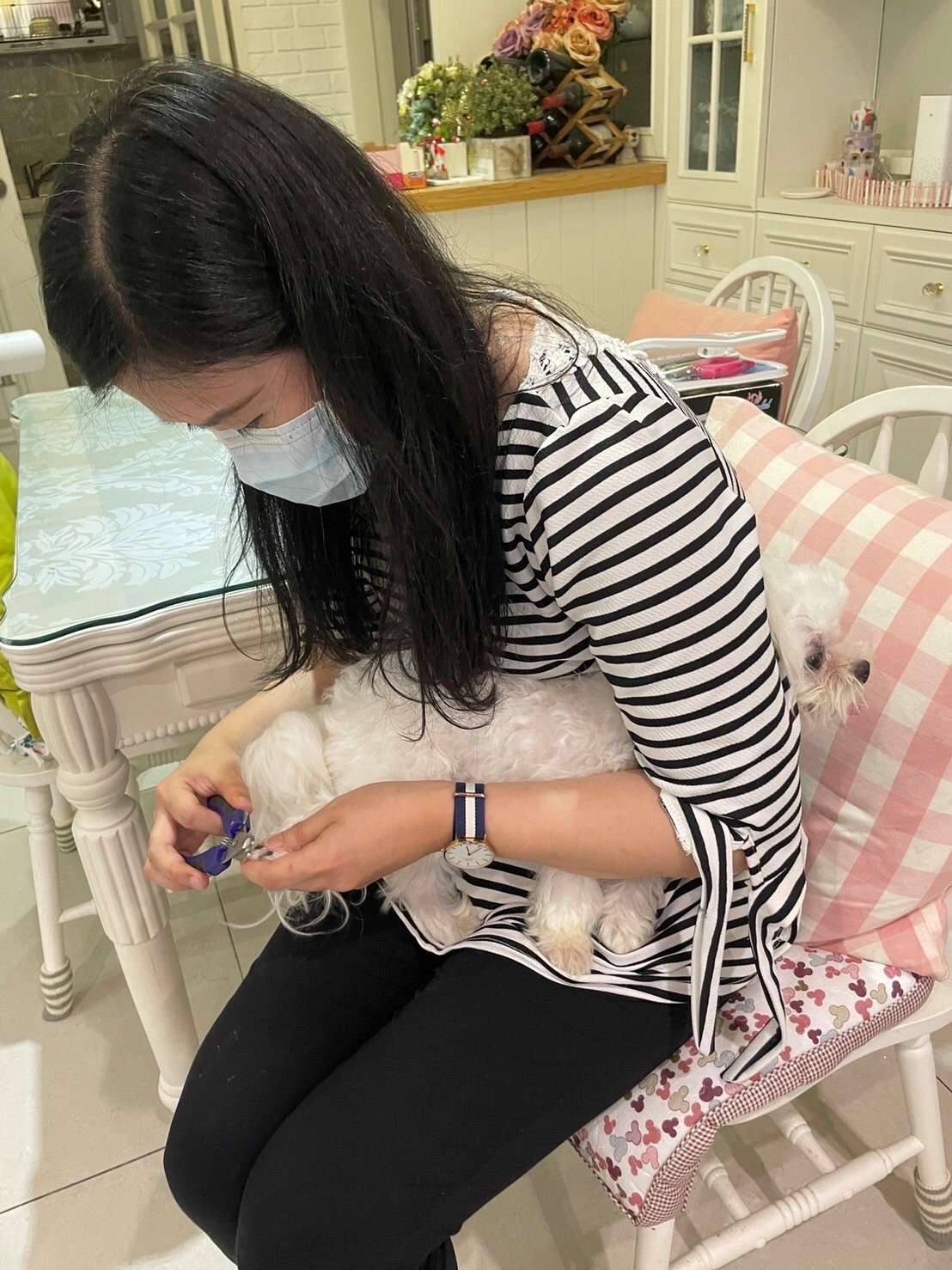 葛小姐依照老師教導保定方式幫仙仙修剪指甲。 圖：新北市動保處提供