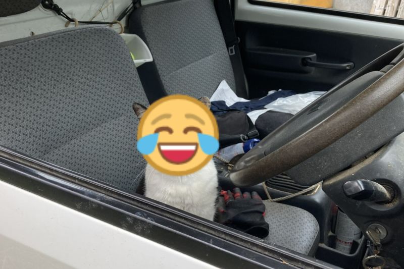 日本一名男子驚見自己的貨車上出現一隻陌生「毛駕駛」！ 圖／推特帳號tatamatsumo