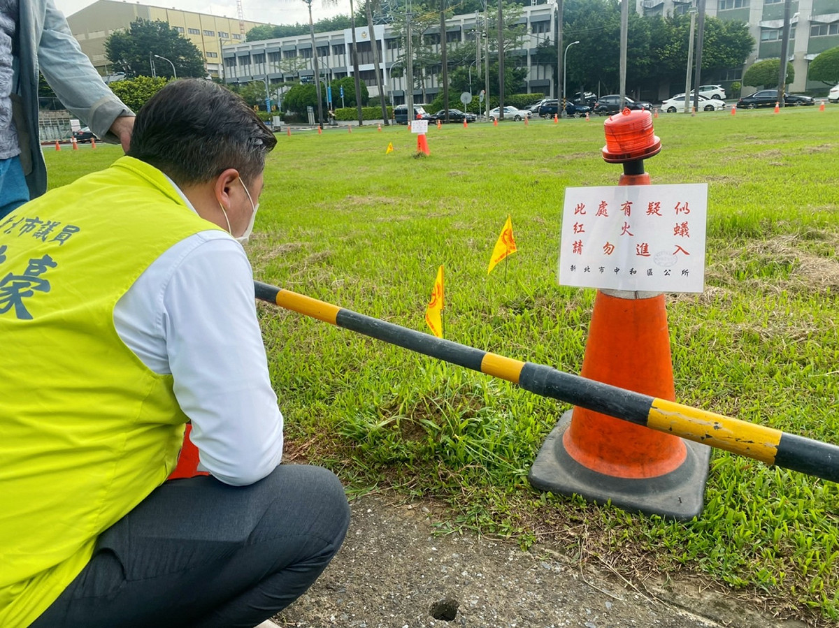 新北市議員張志豪要求市府一週內完成滅蟻防治。 圖：張志豪服務處提供