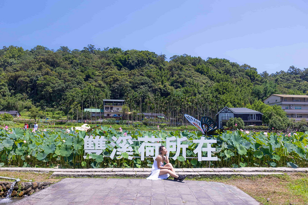 每年荷花盛開時，雙溪雙溪上林里荷花田總是吸引遊客前來賞花。