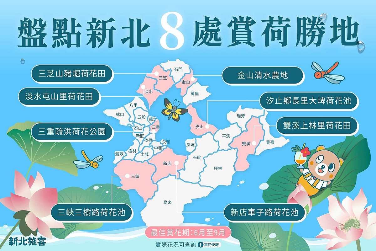 新北賞荷8處勝地，快來蒐集各地荷花美照。
