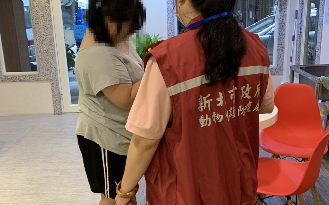 網路無照犬貓買賣挨重罰 新北動保處籲民眾勿觸法