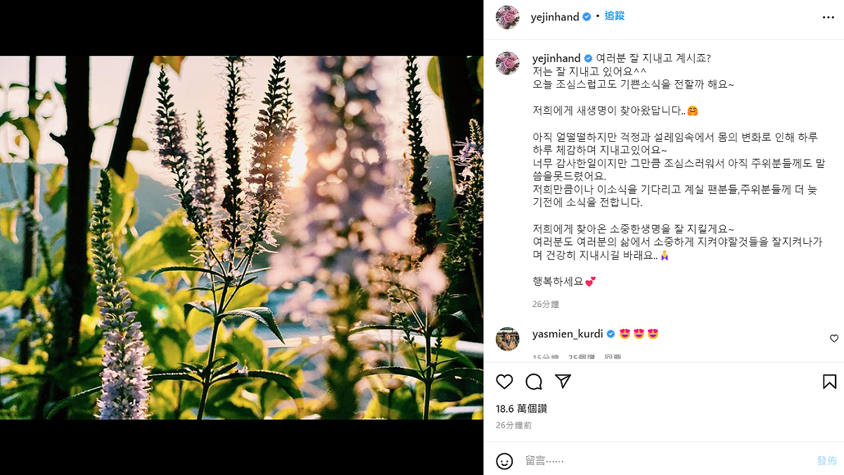 孫藝真宣布懷孕。 圖：翻攝自IG/yejinhand
