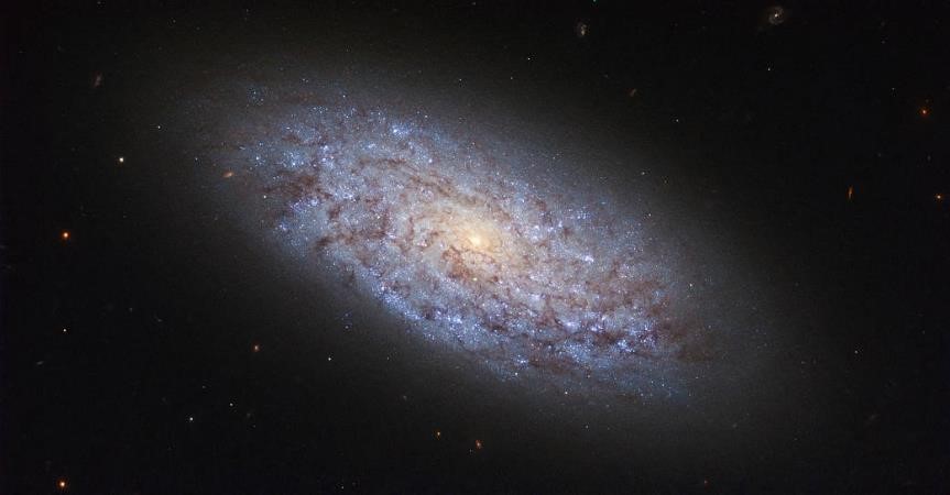 NASA用哈伯望遠鏡拍攝的螺旋矮星系 NGC 5949。(示意圖) 圖: ESA/Hubble &amp; NASA