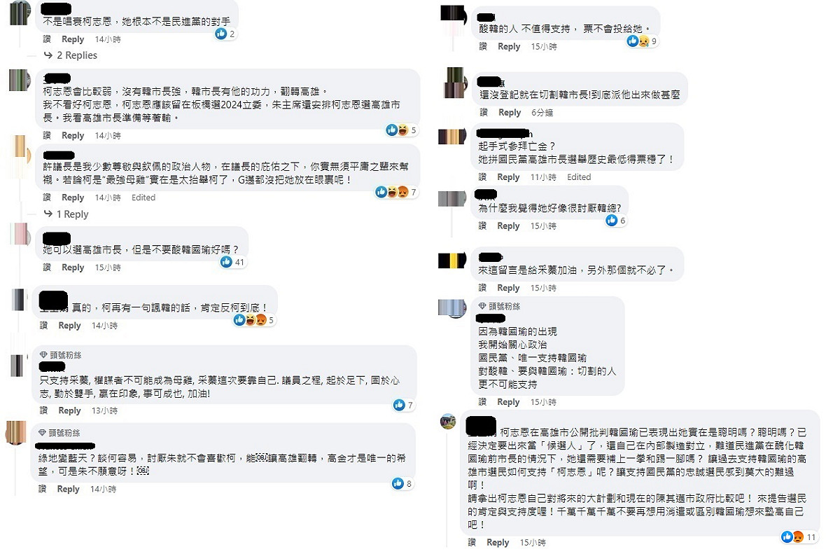韓粉紛紛要柯志恩「不要酸韓國瑜好嗎？」 圖：許采蓁臉書