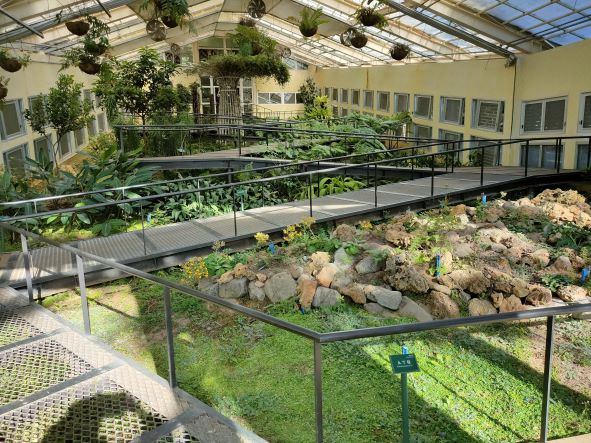 圖為墾丁珍稀植物展，花榭溫室展場概況。 圖：政院農業委員會林業試驗所／提供