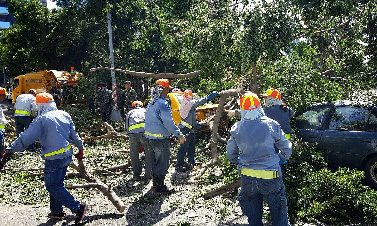 高雄市清潔人員16日清除苓安路樹倒，搶通當地道路。 圖：高雄市政府提供