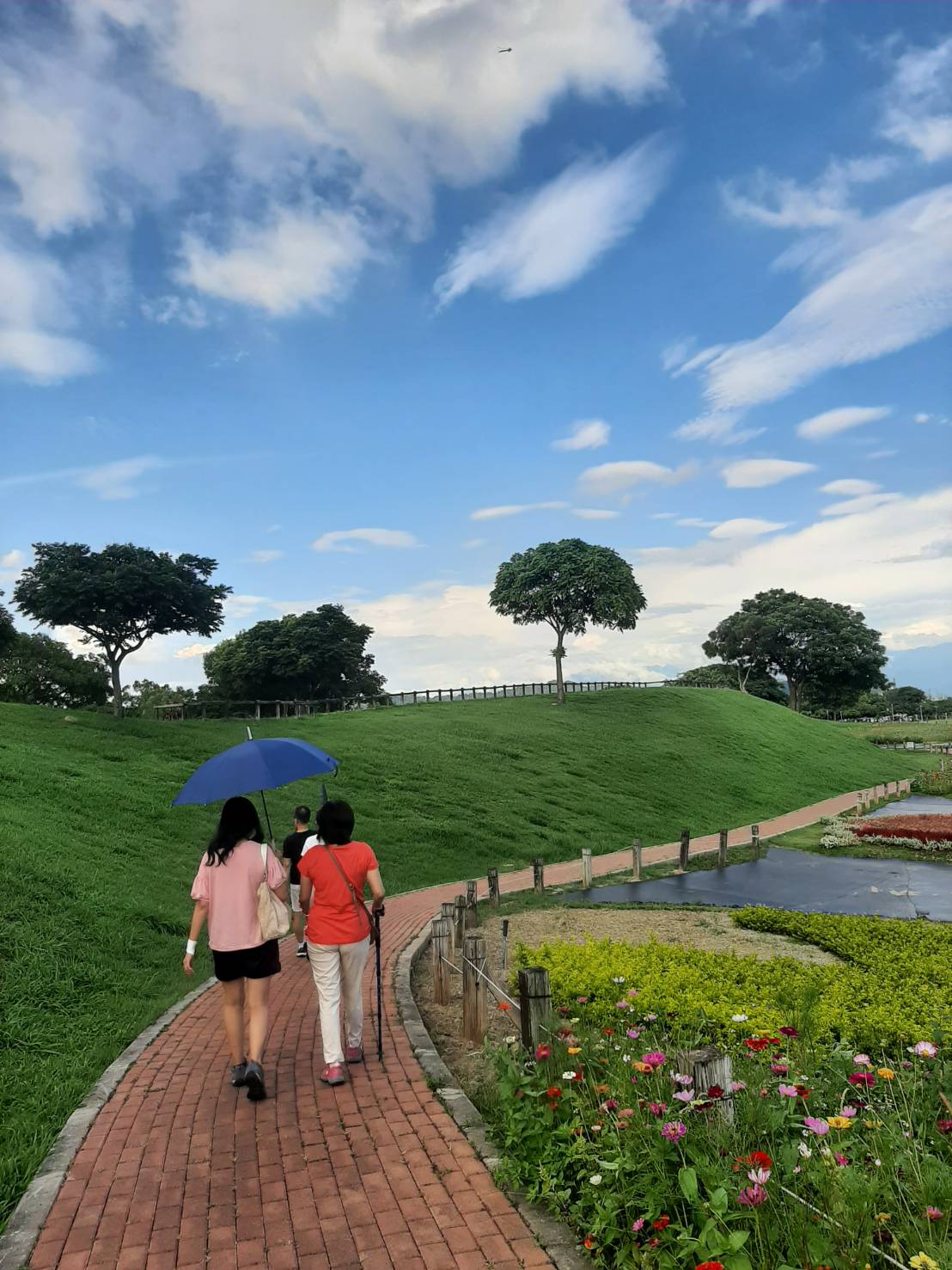 台中市環保局執行「藍天白雲行動計畫」，今年上半年PM2.5首度降到15微克/立方公尺以下。