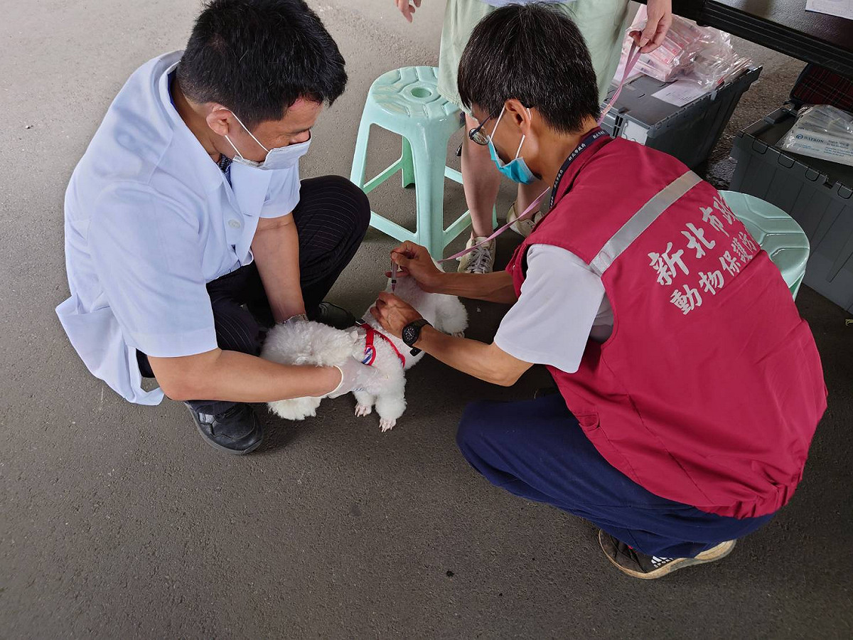 近期有多場假日寵物公園狂犬病疫苗巡迴免費注射活動，歡迎民眾上新北市動保處臉書查詢。 圖：新北市動保處提供