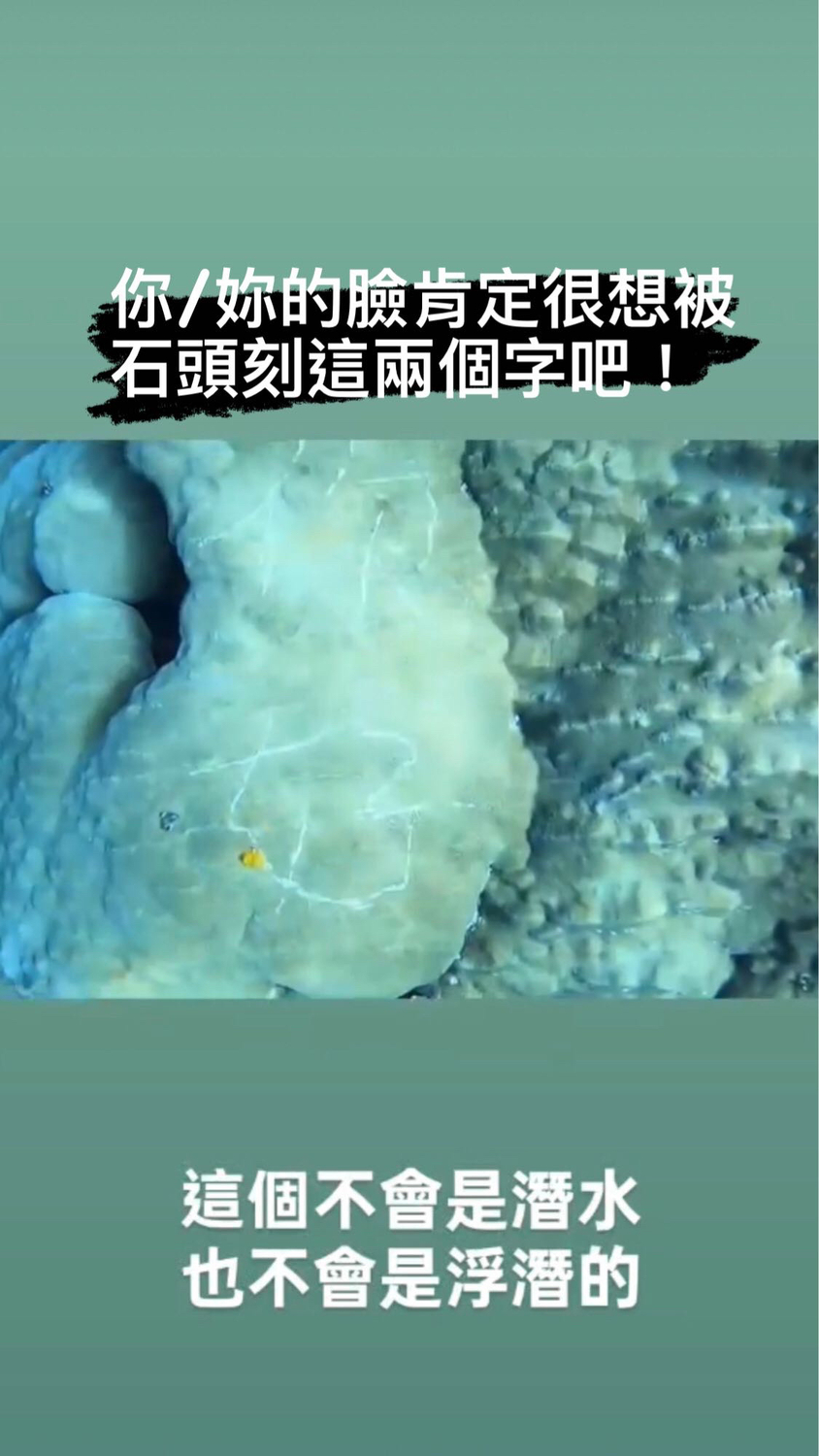 台東蘭嶼母雞岩浮潛區海底珊瑚礁，近日發現被遊客刻上「你好」兩字。 圖：擷取自Dcard旅遊版