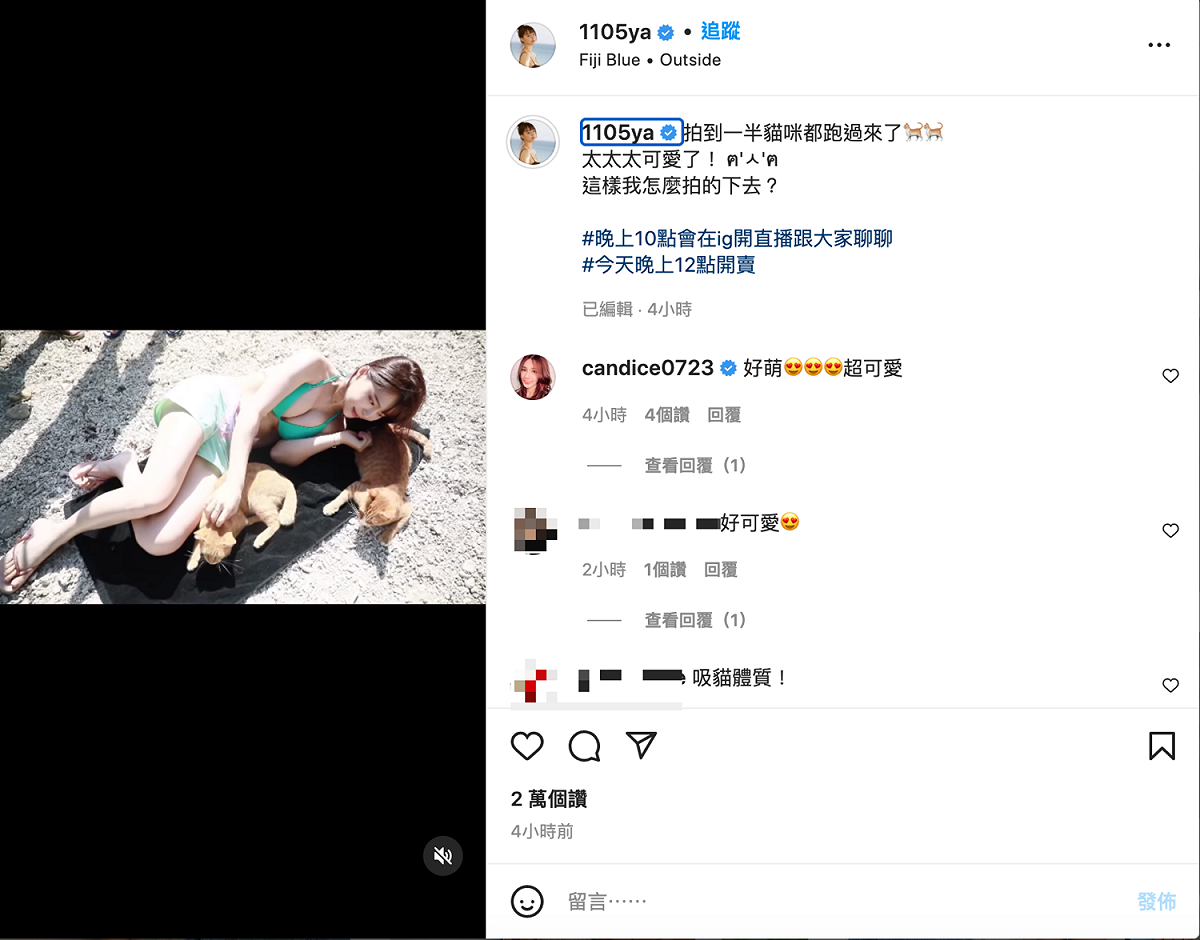 元元拍攝寫真集時，被貓咪包圍。 圖：翻攝自元元IG(@1105ya)
