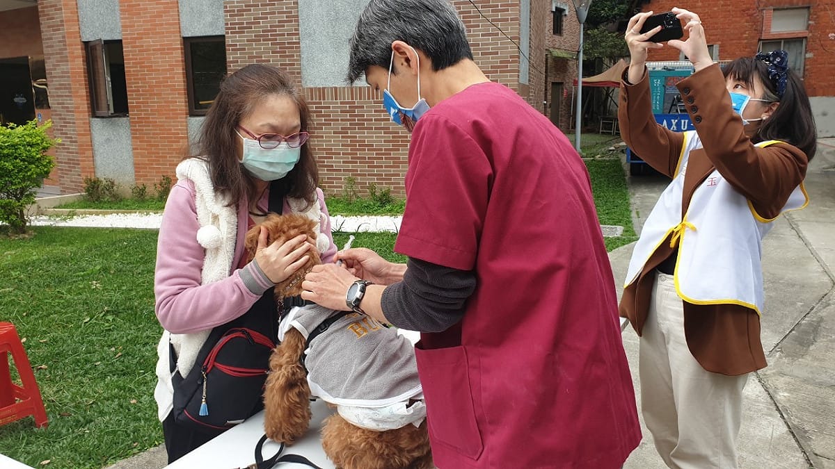 每年均須帶毛寶貝施打犬病疫苗。 圖：新北市動保處提供