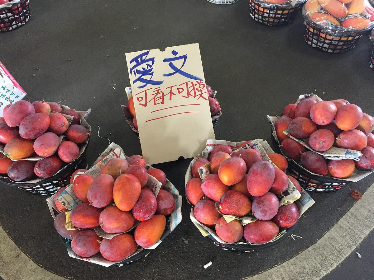 中國國台辦發言人朱鳳蓮表示，中國自今（21）日起禁止進口台灣芒果。 圖 : 葉宜哲／攝（資料照）