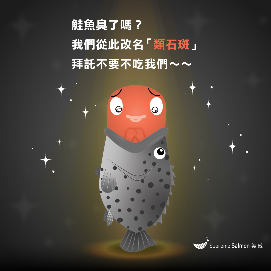 美威鮭魚以 KUSO 圖文幽默回應陳吉仲所稱，鮭魚價格上漲倒不如吃價格合理的石斑魚。 圖：翻攝自美威鮭魚臉書