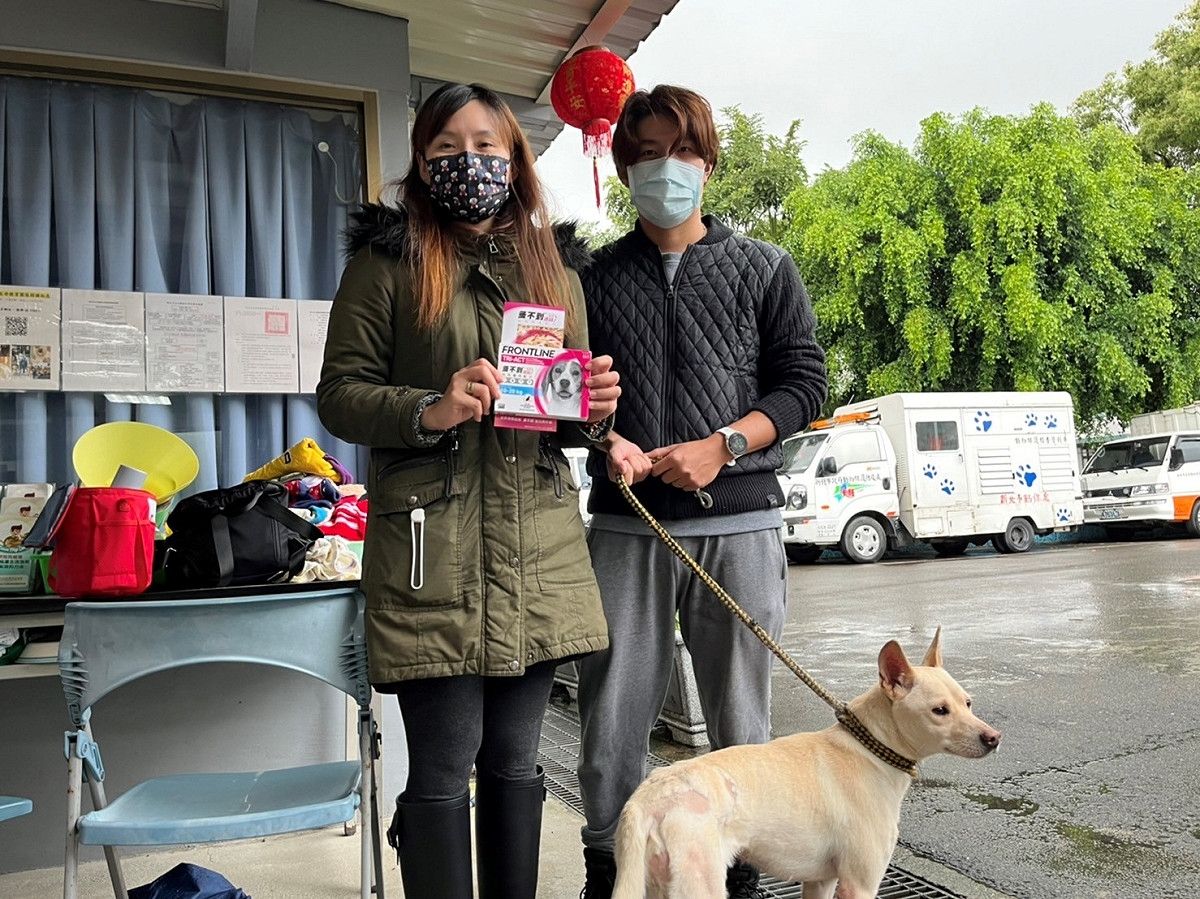 呂小姐至板橋動物之家認養「咪嚕」，還得到寵物除蚤滴劑，讓牠遠離跳蚤威脅。 圖：新北市動保處提供