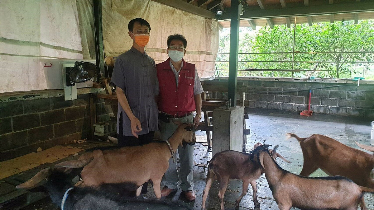駐區獸醫彭明發（右）專程至緣道觀音廟訪視羊隻健康狀況。 圖：新北市動保處提供