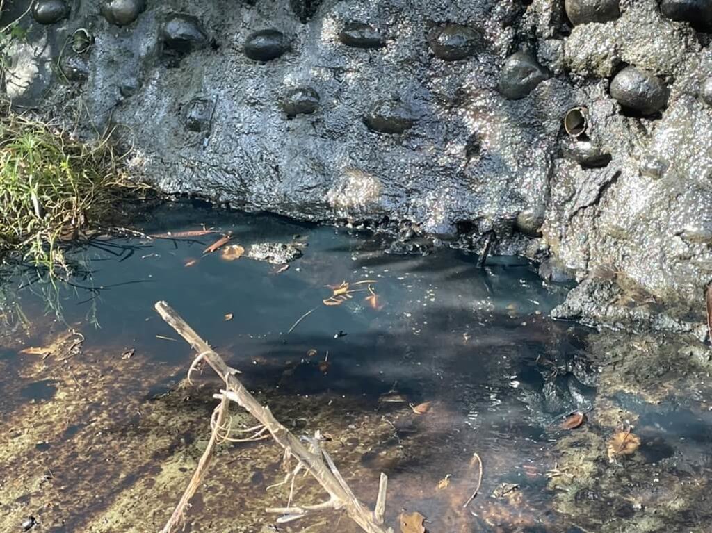 高雄有民眾向環保局陳情楠梓區後勁溪有油污污染情形，環保局獲報後緊急布設攔油索進行油污防堵，並追查發現，源頭疑為中油橋頭供油中心。 圖/高雄市環保局提供
