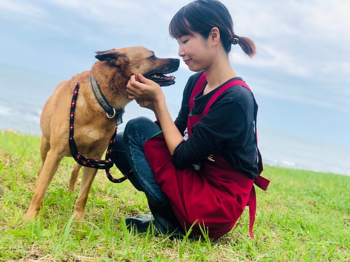 日本志工下坂未華在社群平台上分享與毛寶貝們相處的點滴，讓收容動物跨越國界被看見。 圖：新北市動保處提供