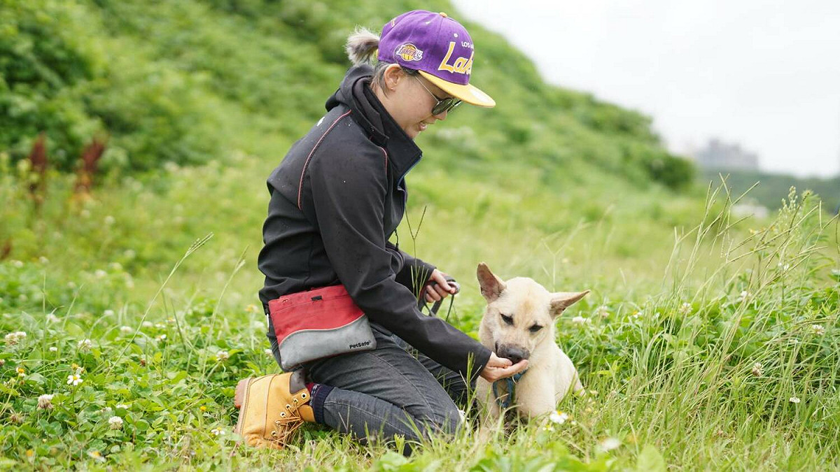 訓犬師紀筱涵透過每週矯正訓練，讓收容動物更能融入人類生活。 圖：新北市動保處提供
