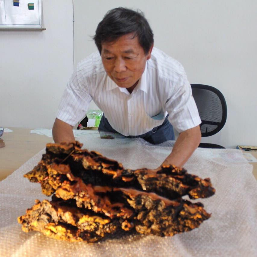 賴敏男在國內生技界有「牛樟芝之父」之稱，日前遭到槍擊，病況已出現好轉。 圖：翻攝自賴敏男臉書
