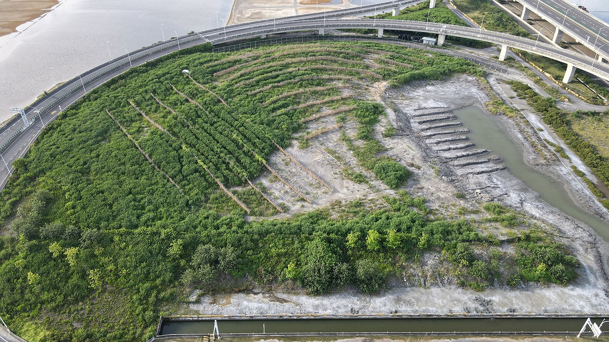 目前綠美化基地的苗木生長及綠覆情況良好，未來成功營造環境保護林可期。 圖：農委會林業試驗所／提供