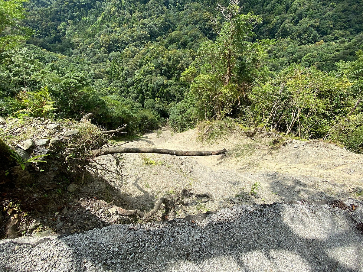 福山植物園聯外道路4.8K下邊坡崩塌深度達100公尺。 圖：農委會林業試驗所／提供