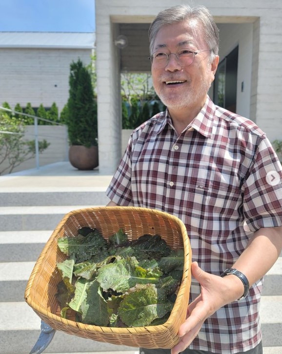 文在寅在IG上分享自種的蔬菜。 圖:翻攝自文在寅IG