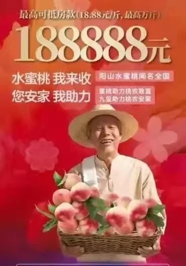 中國近期出現許多農產品抵購房款的促銷活動。 圖:翻攝自騰訊網