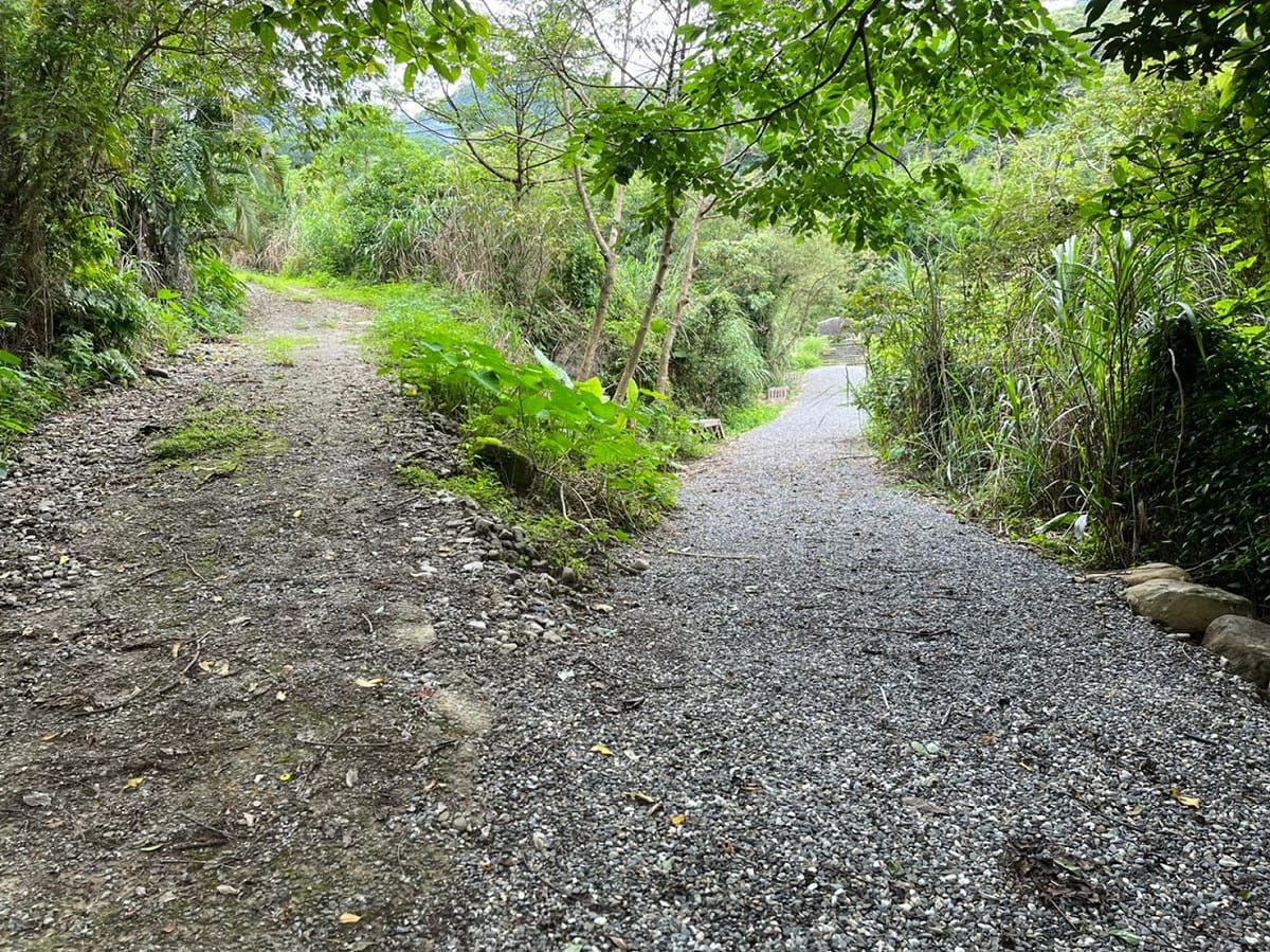 大路崁登山步道修復後恢復路徑。