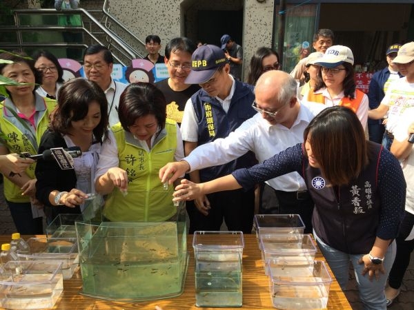高雄市副市長許銘春率領防疫團隊示範「生物防治法」，將蚊子的幼蟲孑孓倒進容器裡，可以清楚的看到孔雀魚爭食幼蟲。 圖：高雄市衛生局提供