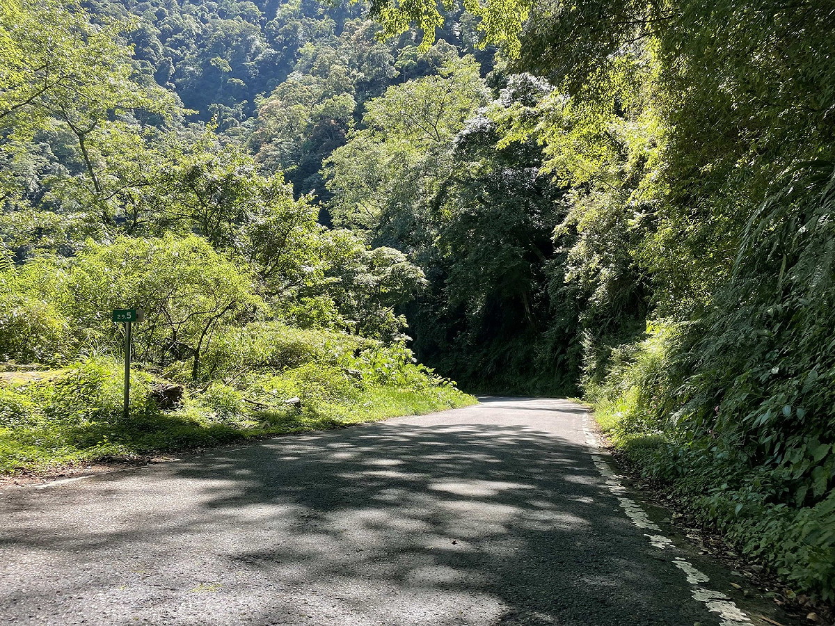 大雪山林道7/22起進行路面改善工程，將進行交通管制。 圖：東勢林區管理處／提供