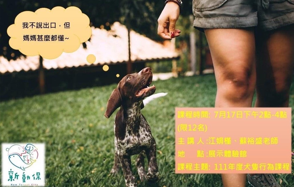 每月寵物行為訓練課程，歡迎毛爸媽一起來參與。 圖：新北市動保處提供
