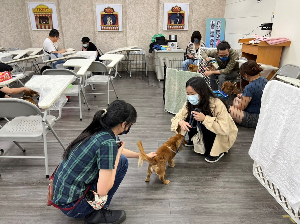 改善毛寶貝惱人的不良行為。 圖：新北市動保處提供