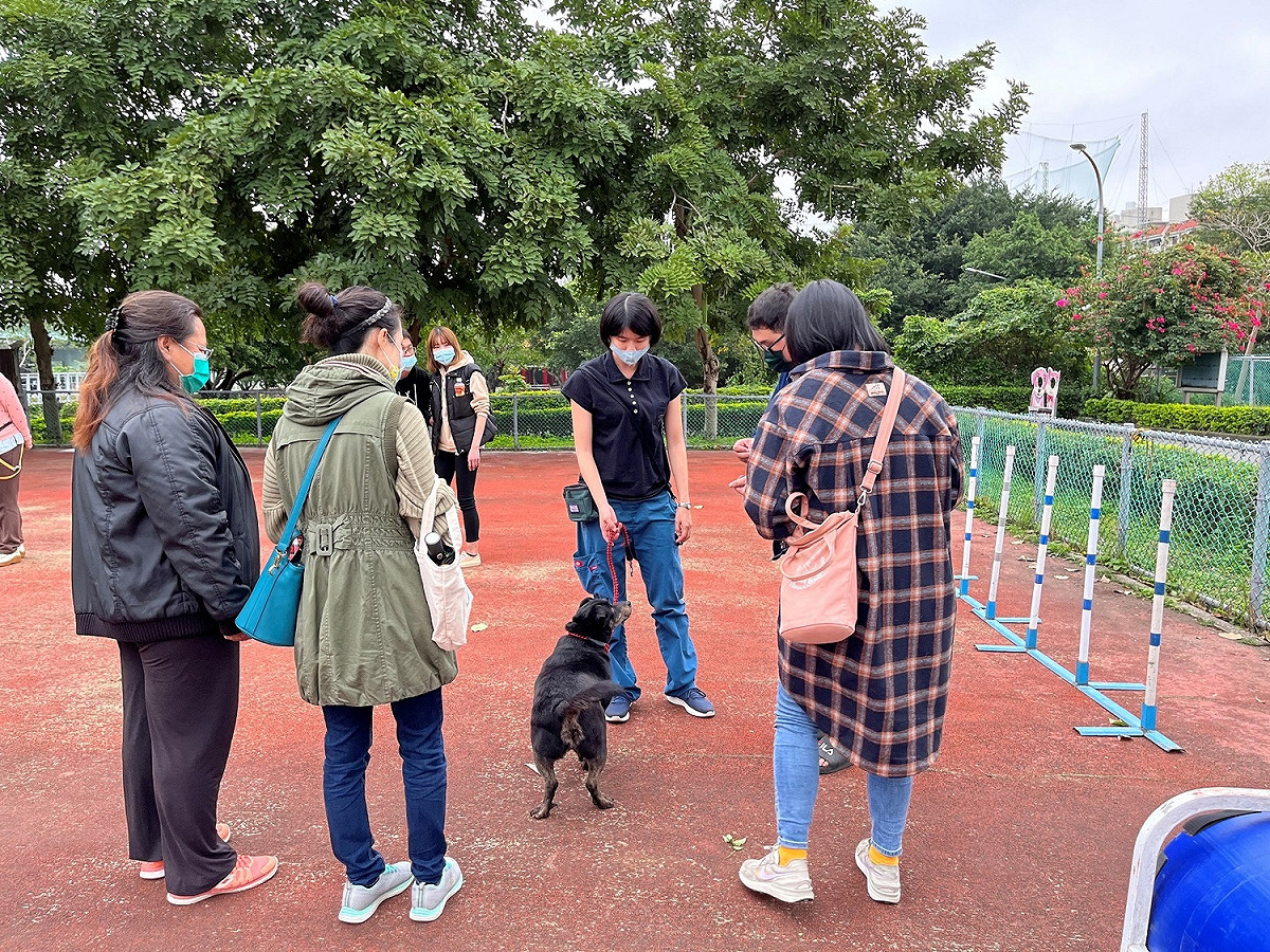 學習正確的訓練方式。 圖：新北市動保處提供